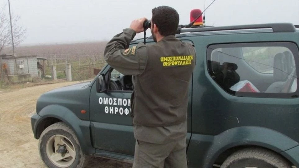 Σοβαρό επεισόδιο με λαθροκυνηγούς και θηροφύλακες στα Καλάβρυτα